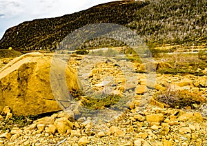 Yellow rock formations of the Table lands. Gros Morne National Park Newfoundland Canada