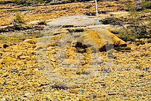 Yellow rock formations of the Table lands. Gros Morne National Park Newfoundland Canada