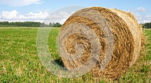 Yellow roll of dry hay on a green meadow.Summer cloudy weather. space for your text