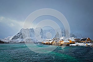 Yellow rorbu houses, Lofoten islands, Norway