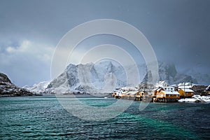 Yellow rorbu houses, Lofoten islands, Norway