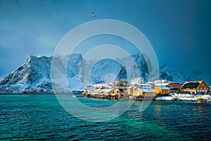 Yellow rorbu houses, Lofoten islands, Norway