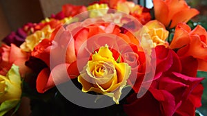 Yellow rose against flower background