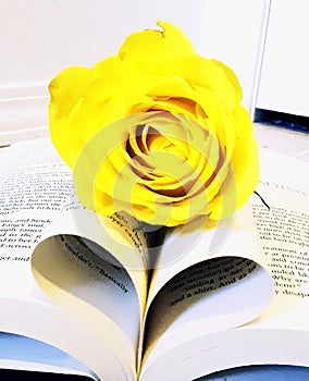 Yellow Rose Book Heart Foundation