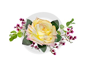 Yellow rose, eucalyptus and pink chamelaucium flowers in a floral arrangement