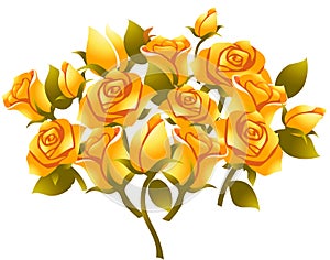 Yellow rose flower