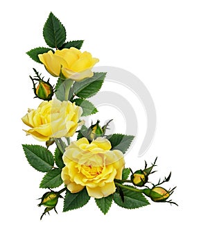 Yellow rose flowers in a corner arrangement