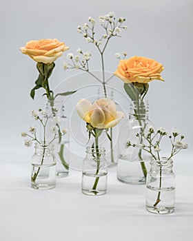 Yellow rose in glass with small pharmaceutical bottles on a white background.