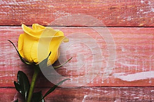 Yellow rose on a red wooden background photo