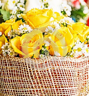 Yellow rose with water drops.