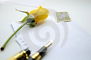 Yellow rose on white paper in a cage, fountain pen and postage stamp