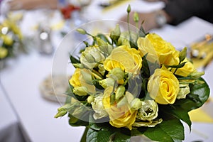 Yellow Roses