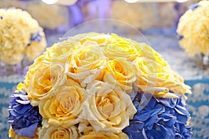 Yellow roses