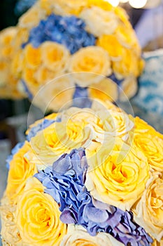 Yellow roses