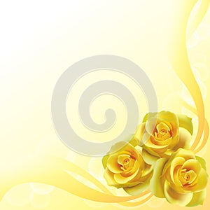 Yellow roses background