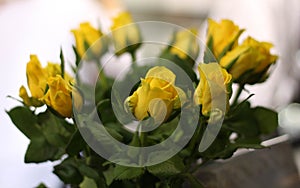 This yellow roses bouquet, sunshine color conveys joy, gladness and friendship. Bouquet of yellow roses