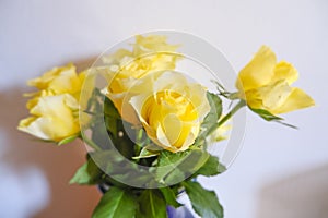 yellow roses bouquet on white background. Top view. Copy space. Floral mockup.