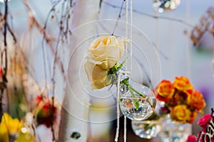 Yellow roses in a bulb with water. Vase with flowering plants hanging on a rope on a background of blurry flowers and foliage.