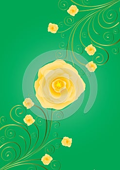 Yellow roses with curls on green background