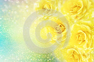 Yellow roses flower soft romance background with beautiful glitter