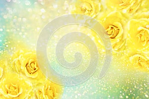 Yellow roses flower soft romance background with beautiful glitter