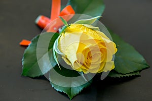 Yellow Roses For the groomsman. photo