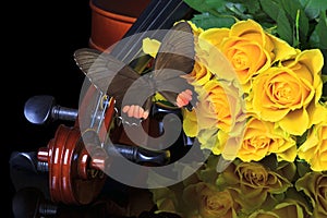 Yellow roses and violin