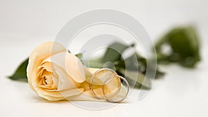 Yellow roses and weddings rings