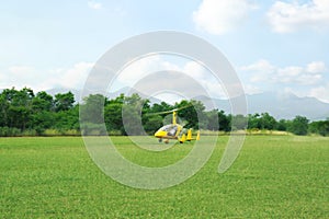 Yellow rotorcraft on grass near trees outdoors