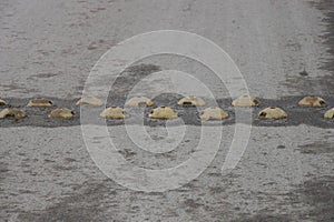 Yellow round metal restraints in a speed bump