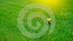 Yellow round universal lawn sprinkler set in green grass. Well-groomed lawn in summer