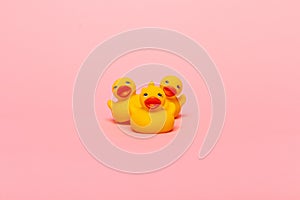 Yellow rubber baby ducks