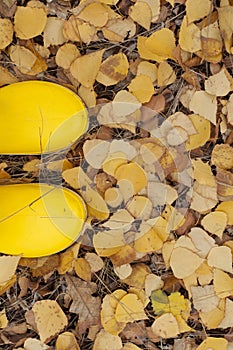 Yellow rubber boots on a background of autumn leaves