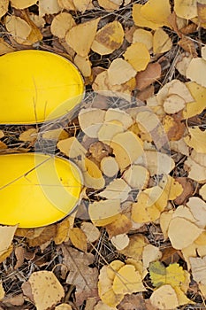 Yellow rubber boots on a background of autumn leaves