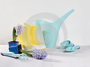 Yellow rubber boots and blue watering can with a bouquet of flowers of yellow daffodils and white and pink tulips on the white bac