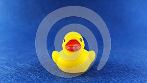 Yellow rubber duck