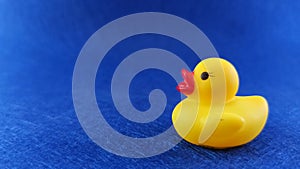 Yellow rubber duck