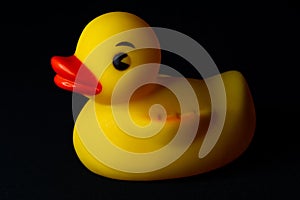 Yellow Rubber Duck