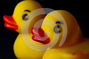 Yellow Rubber Duck