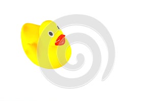 Yellow rubber duck