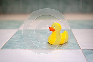 Yellow rubber duck in the bath