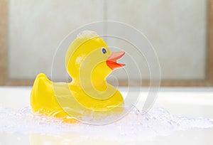 Yellow rubber duck