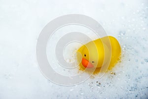 Yellow rubber duck in bath swimming in foam water