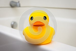 Yellow rubber duck bath toy