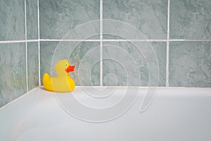 Yellow rubber duck in the bathroom