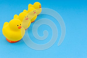 Yellow rubber duck on blue background.