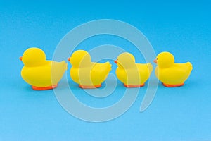 Yellow rubber duck on blue background.