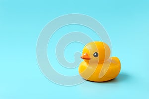 Yellow rubber duck on blue background