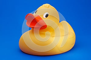 Yellow rubber duck on blue background