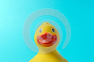 Yellow rubber duck on blue background. Summer minimal concept